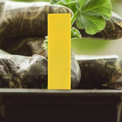 Dontodent 200 Pièces En Plastique Plante Nom étiquette Fleur étiquette Marqueur Nom De La Graine Piquet étiquettes Pépinière Semis étiquettes Pour Jardin En Pot Herbes Fleurs Légumes(Jaune) 6 Dontodent 200 Pièces En Plastique Plante Nom étiquette Fleur étiquette Marqueur Nom De La Graine Piquet étiquettes Pépinière Semis étiquettes Pour Jardin En Pot Herbes Fleurs Légumes(Jaune) – Image 4