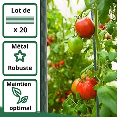 Lot De 20 Tuteurs Pour Plantes De 180cm ARTECSIS - Support Plante Grimpante Exterieur / Interieur 4 Lot De 20 Tuteurs Pour Plantes De 180cm ARTECSIS - Support Plante Grimpante Exterieur / Interieur – Image 2