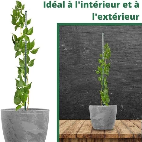 Lot De 20 Tuteurs Pour Plantes De 180cm ARTECSIS - Support Plante Grimpante Exterieur / Interieur 7 Lot De 20 Tuteurs Pour Plantes De 180cm ARTECSIS - Support Plante Grimpante Exterieur / Interieur – Image 5