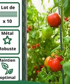 Lot De 10 Tuteurs Pour Plantes De 120cm ARTECSIS - Tuteur Support Plante Grimpante Exterieur / Interieur 8 Lot De 10 Tuteurs Pour Plantes De 120cm ARTECSIS - Tuteur Support Plante Grimpante Exterieur / Interieur -Accessoire de culture Soldes Boutique 64884507 2
