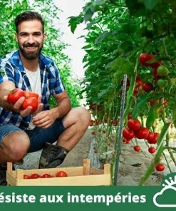 Lot De 10 Tuteurs Pour Plantes De 120cm ARTECSIS - Tuteur Support Plante Grimpante Exterieur / Interieur 10 Lot De 10 Tuteurs Pour Plantes De 120cm ARTECSIS - Tuteur Support Plante Grimpante Exterieur / Interieur -Accessoire de culture Soldes Boutique 64884507 4