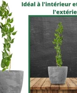 Lot De 20 Tuteurs Spirale De 150cm ARTECSIS - Piquets Tomates, Tuteur Tomate Spirale - Support Plante Grimpante Exterieur Interieur -Accessoire de culture Soldes Boutique 64884515 5