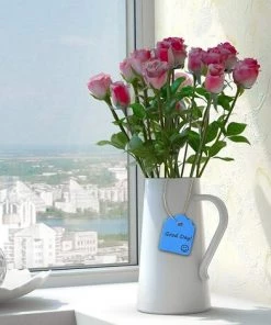 Étiquette De Plantes Imperméables Étiquette De Jardin En Plastique Réutilisable Étiquettes De Marquage Suspendue Multicolore Etiquette Semis Avec Ficelle 500 Pièces (5 Couleurs / 4.5X3cm) 56Vingt -Accessoire de culture Soldes Boutique 64938260 4