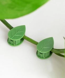 MONLY Lot De 50 Clips Muraux Autocollants Pour Plantes Grimpantes -Accessoire de culture Soldes Boutique 65002738 4