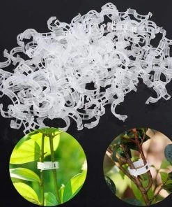 GrooFoo Plante Clips Support De Plantes Pour Légumes Tomates Et Plants De Vignes Lot De 100 Pinces à Plantes En Plastique Blanc Réutilisables Pour Petites Et Grandes Pousses Et Plantes Grimpantes Blanc GrooFoo 9 GrooFoo Plante Clips Support De Plantes Pour Légumes Tomates Et Plants De Vignes Lot De 100 Pinces à Plantes En Plastique Blanc Réutilisables Pour Petites Et Grandes Pousses Et Plantes Grimpantes Blanc GrooFoo -Accessoire de culture Soldes Boutique 65118585 3