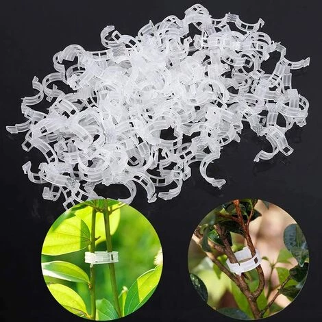 GrooFoo Plante Clips Support De Plantes Pour Légumes Tomates Et Plants De Vignes Lot De 100 Pinces à Plantes En Plastique Blanc Réutilisables Pour Petites Et Grandes Pousses Et Plantes Grimpantes Blanc GrooFoo 5 GrooFoo Plante Clips Support De Plantes Pour Légumes Tomates Et Plants De Vignes Lot De 100 Pinces à Plantes En Plastique Blanc Réutilisables Pour Petites Et Grandes Pousses Et Plantes Grimpantes Blanc GrooFoo – Image 3