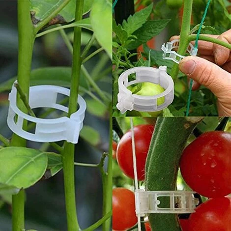 GrooFoo Plante Clips Support De Plantes Pour Légumes Tomates Et Plants De Vignes Lot De 100 Pinces à Plantes En Plastique Blanc Réutilisables Pour Petites Et Grandes Pousses Et Plantes Grimpantes Blanc GrooFoo 6 GrooFoo Plante Clips Support De Plantes Pour Légumes Tomates Et Plants De Vignes Lot De 100 Pinces à Plantes En Plastique Blanc Réutilisables Pour Petites Et Grandes Pousses Et Plantes Grimpantes Blanc GrooFoo – Image 4
