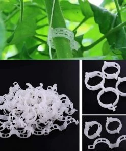 GrooFoo Plante Clips Support De Plantes Pour Légumes Tomates Et Plants De Vignes Lot De 100 Pinces à Plantes En Plastique Blanc Réutilisables Pour Petites Et Grandes Pousses Et Plantes Grimpantes Blanc GrooFoo 11 GrooFoo Plante Clips Support De Plantes Pour Légumes Tomates Et Plants De Vignes Lot De 100 Pinces à Plantes En Plastique Blanc Réutilisables Pour Petites Et Grandes Pousses Et Plantes Grimpantes Blanc GrooFoo -Accessoire de culture Soldes Boutique 65118585 5