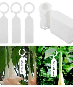 FR-LIFE BR-Vie 100pcs Étiquettes Marque Plantes Plastique Arbre De La Plante Imperméable Tags Jardin En Plastique épais étiquettes Suspendues Étiquettes De Plantes De Fleurs(blanc )