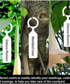 FR-LIFE BR-Vie 100pcs Étiquettes Marque Plantes Plastique Arbre De La Plante Imperméable Tags Jardin En Plastique épais étiquettes Suspendues Étiquettes De Plantes De Fleurs(blanc ) -Accessoire de culture Soldes Boutique 65205565 4