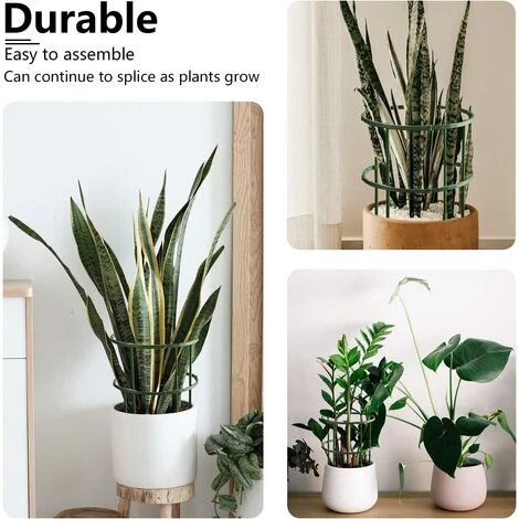 OSQI Paquet De 12 Piquets De Plantes Arqués En Plastique, Piquets De Support De Plantes, Piquets De Plantes Semi-circulaires, Support De Plantes De Jardin, Pour Plantes à Fleurs, Rose, Ortensia 7 OSQI Paquet De 12 Piquets De Plantes Arqués En Plastique, Piquets De Support De Plantes, Piquets De Plantes Semi-circulaires, Support De Plantes De Jardin, Pour Plantes à Fleurs, Rose, Ortensia – Image 5