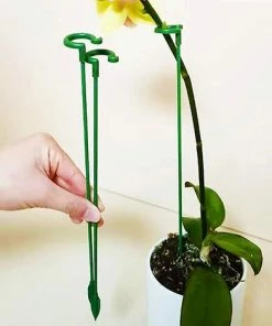 OSQI Paquet De 30 Piquets Pour Plantes De Jardin, Tiges Simples, Piquets De Fleurs, Orchidée, Pivoine, Lys, Rose 9 OSQI Paquet De 30 Piquets Pour Plantes De Jardin, Tiges Simples, Piquets De Fleurs, Orchidée, Pivoine, Lys, Rose -Accessoire de culture Soldes Boutique 65501239 3