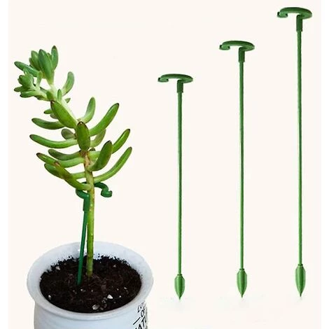 OSQI Paquet De 30 Piquets Pour Plantes De Jardin, Tiges Simples, Piquets De Fleurs, Orchidée, Pivoine, Lys, Rose 6 OSQI Paquet De 30 Piquets Pour Plantes De Jardin, Tiges Simples, Piquets De Fleurs, Orchidée, Pivoine, Lys, Rose – Image 4