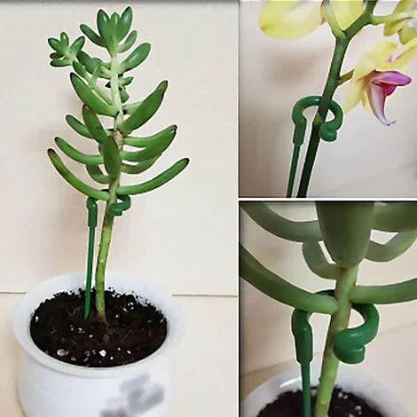 OSQI Paquet De 30 Piquets Pour Plantes De Jardin, Tiges Simples, Piquets De Fleurs, Orchidée, Pivoine, Lys, Rose 7 OSQI Paquet De 30 Piquets Pour Plantes De Jardin, Tiges Simples, Piquets De Fleurs, Orchidée, Pivoine, Lys, Rose – Image 5