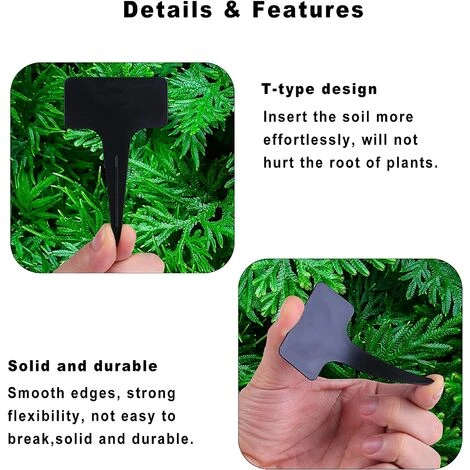 OSQI 100pcs étiquettes De Plantes étiquettes De Jardin étanches, étiquettes De Plantes En Plastique De Type T étiquettes De Semis, étiquettes De Plantes Pour Jardin De Semences De Légumes à Fleurs 6 X 10 Cm (noir) 5 OSQI 100pcs étiquettes De Plantes étiquettes De Jardin étanches, étiquettes De Plantes En Plastique De Type T étiquettes De Semis, étiquettes De Plantes Pour Jardin De Semences De Légumes à Fleurs 6 X 10 Cm (noir) – Image 3