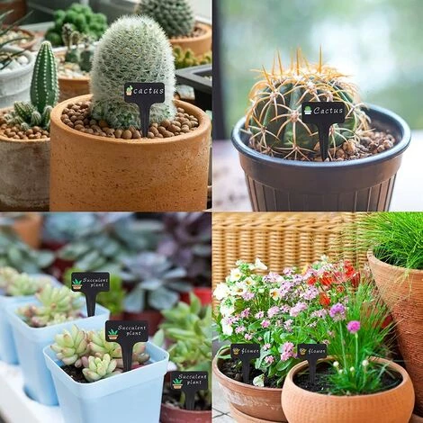 OSQI 100pcs étiquettes De Plantes étiquettes De Jardin étanches, étiquettes De Plantes En Plastique De Type T étiquettes De Semis, étiquettes De Plantes Pour Jardin De Semences De Légumes à Fleurs 6 X 10 Cm (noir) 7 OSQI 100pcs étiquettes De Plantes étiquettes De Jardin étanches, étiquettes De Plantes En Plastique De Type T étiquettes De Semis, étiquettes De Plantes Pour Jardin De Semences De Légumes à Fleurs 6 X 10 Cm (noir) – Image 5
