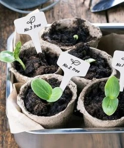 OSQI 100 Pièces Marqueurs De Plantes De Type T En Plastique Blanc, Marqueurs De Jardin Imperméables Durables étiquettes De Semis -Accessoire de culture Soldes Boutique 65501574 5