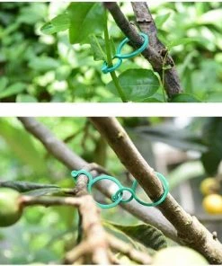 OSQI 100 Pièces Clips De Jardin Clips De Support De Plantes, Clips De Plantes Réutilisables Anneaux En Plastique, Clips De Plantes Durables Anneaux De Plantes Twisty Pour Soutenir Les Plantes Grimpantes -Accessoire de culture Soldes Boutique 65501685 5