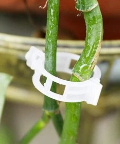OSQI Clips De Greffe De Plantes, 200 Clips De Vigne De Tomate, Clips De Support De Plantes De Jardin Pour Tiges De Croissance Verticales De Vigne De Tomate De Légumes Et Plus -Accessoire de culture Soldes Boutique 65501700 4