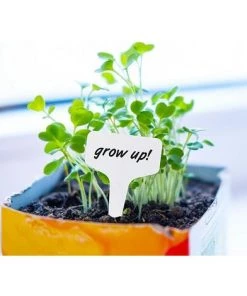 OSQI 100 Pièces Marqueurs De Plantes De Type T En Plastique Blanc, Marqueurs De Jardin Imperméables Durables étiquettes De Semis -Accessoire de culture Soldes Boutique 65502854 4