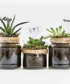 OSQI 100 Pièces Marqueurs De Plantes De Type T En Plastique Blanc, Marqueurs De Jardin Imperméables Durables étiquettes De Semis -Accessoire de culture Soldes Boutique 65502854 5