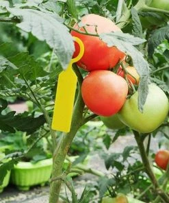 OSQI Étiquettes De Plantes Anneau, 144 Pièces 4,3 Pouces Étiquettes Suspendues D'Arbre De Plante Étiquettes De Jardin Étiquettes De Jardinage Suspendues Étanches Extérieures Pour Le Jardinage -Accessoire de culture Soldes Boutique 65502866 5