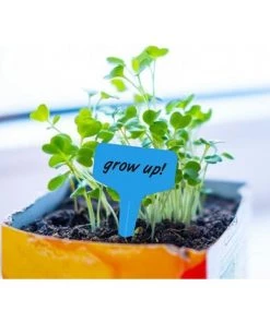 OSQI Lot De 100 Etiquettes Plastique Pour Plantes Et Légumes Bleu 6 X 10 Cm -Accessoire de culture Soldes Boutique 65502868 4