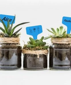 OSQI Lot De 100 Etiquettes Plastique Pour Plantes Et Légumes Bleu 6 X 10 Cm -Accessoire de culture Soldes Boutique 65502868 5