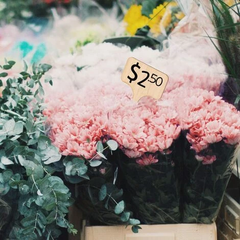 OSQI 30 Pcs Étiquettes De Plantes En Bambou Étiquette En Bois Étiquettes De Plantes En Bambou Marqueurs De Type T Pour Jardin Plantes En Pot Accessoires De Serre - 10 X 6 Cm 4 OSQI 30 Pcs Étiquettes De Plantes En Bambou Étiquette En Bois Étiquettes De Plantes En Bambou Marqueurs De Type T Pour Jardin Plantes En Pot Accessoires De Serre - 10 X 6 Cm – Image 2