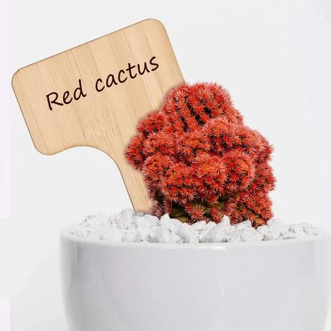 OSQI 30 Pcs Étiquettes De Plantes En Bambou Étiquette En Bois Étiquettes De Plantes En Bambou Marqueurs De Type T Pour Jardin Plantes En Pot Accessoires De Serre - 10 X 6 Cm 5 OSQI 30 Pcs Étiquettes De Plantes En Bambou Étiquette En Bois Étiquettes De Plantes En Bambou Marqueurs De Type T Pour Jardin Plantes En Pot Accessoires De Serre - 10 X 6 Cm – Image 3