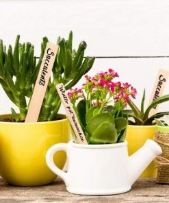 OSQI 50pcs étiquettes De Plantes En Bois Avec Un Stylo Marqueur, étiquettes De Signalisation De Plantes En Bois Pointues Imperméables Marqueurs De Jardin écologiques Pour Graines En Pot Herbes Fleurs Légumes (15 X 2 Cm) -Accessoire de culture Soldes Boutique 65503623 5