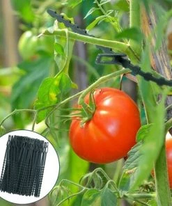 READCLY-Attaches De Plantes Réglable Attaches De Torsion En Plastique Flexible Attaches De Câble De Jardin Pour Aider à Soutenir Les Plantes, Vignes 17cm 100 Pièces (Vert Foncé) 9 READCLY-Attaches De Plantes Réglable Attaches De Torsion En Plastique Flexible Attaches De Câble De Jardin Pour Aider à Soutenir Les Plantes, Vignes 17cm 100 Pièces (Vert Foncé) -Accessoire de culture Soldes Boutique 65598888 3