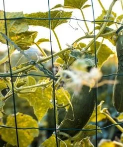 READCLY-Attaches De Plantes Réglable Attaches De Torsion En Plastique Flexible Attaches De Câble De Jardin Pour Aider à Soutenir Les Plantes, Vignes 17cm 100 Pièces (Vert Foncé) 10 READCLY-Attaches De Plantes Réglable Attaches De Torsion En Plastique Flexible Attaches De Câble De Jardin Pour Aider à Soutenir Les Plantes, Vignes 17cm 100 Pièces (Vert Foncé) -Accessoire de culture Soldes Boutique 65598888 4