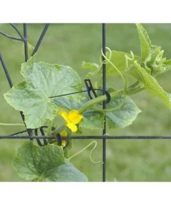 READCLY-Attaches De Plantes Réglable Attaches De Torsion En Plastique Flexible Attaches De Câble De Jardin Pour Aider à Soutenir Les Plantes, Vignes 17cm 100 Pièces (Vert Foncé) 11 READCLY-Attaches De Plantes Réglable Attaches De Torsion En Plastique Flexible Attaches De Câble De Jardin Pour Aider à Soutenir Les Plantes, Vignes 17cm 100 Pièces (Vert Foncé) -Accessoire de culture Soldes Boutique 65598888 5