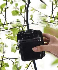 BAICCCF Germoir Dispositif D'enracinement Des Plantes, Boîte De Propagation D'enracinement De Boutures à Haute Pression 5pcs -Accessoire de culture Soldes Boutique 65630773 3