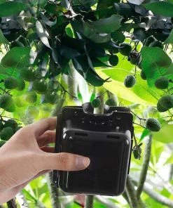 BAICCCF Germoir Dispositif D'enracinement Des Plantes, Boîte De Propagation D'enracinement De Boutures à Haute Pression 5pcs -Accessoire de culture Soldes Boutique 65630773 5