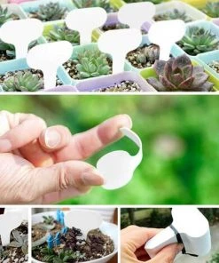 YIDOMDE 100 Pcs T-Type Plantes étiquettes Blanc Étiquettes D'étiquettes De Jardin Marqueurs De Plantes En Plastique Pour Herb 5 X 7 Cm -Accessoire de culture Soldes Boutique 65745560 3
