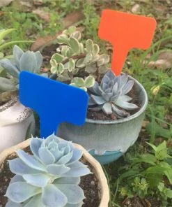 YIDOMDE Etiquette Végétale Étiquettes De Jardin Imperméable T-Type Etiquettes Étiquettes Jardin Plastique,pour Fleur Légumes Graine Jardin Pépinière Réutilisable (Rouges ) 10 YIDOMDE Etiquette Végétale Étiquettes De Jardin Imperméable T-Type Etiquettes Étiquettes Jardin Plastique,pour Fleur Légumes Graine Jardin Pépinière Réutilisable (Rouges ) -Accessoire de culture Soldes Boutique 65745699 4