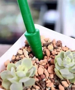 YIENJAOY 6PCS Mini Kit Outils Jardinage Réglable Semences Semeur Planteur Fleur Herbe Semoir Outils De Jardinage Sol Puncher Graine Planteur Outil Kit Set Simple Semis 11 YIENJAOY 6PCS Mini Kit Outils Jardinage Réglable Semences Semeur Planteur Fleur Herbe Semoir Outils De Jardinage Sol Puncher Graine Planteur Outil Kit Set Simple Semis -Accessoire de culture Soldes Boutique 65808739 5