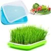 MEZHENG Plateau De Germination Des Graines Plateau De Semis Boîte À Germer Plateaux De Culture Mini Serre Pour Semis Propagateur Graine Plastique Plateau À Graines Pour Jardin Balcon Bureau Maison 2 Pièces -Accessoire de culture Soldes Boutique 65823941 1