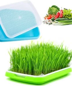 MEZHENG Plateau De Germination Des Graines Plateau De Semis Boîte À Germer Plateaux De Culture Mini Serre Pour Semis Propagateur Graine Plastique Plateau À Graines Pour Jardin Balcon Bureau Maison 2 Pièces