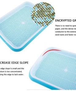 MEZHENG Plateau De Germination Des Graines Plateau De Semis Boîte À Germer Plateaux De Culture Mini Serre Pour Semis Propagateur Graine Plastique Plateau À Graines Pour Jardin Balcon Bureau Maison 2 Pièces 10 MEZHENG Plateau De Germination Des Graines Plateau De Semis Boîte À Germer Plateaux De Culture Mini Serre Pour Semis Propagateur Graine Plastique Plateau À Graines Pour Jardin Balcon Bureau Maison 2 Pièces -Accessoire de culture Soldes Boutique 65823941 4