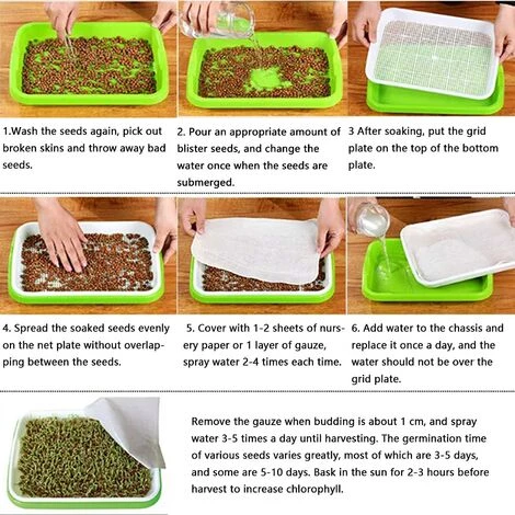 MEZHENG Plateau De Germination Des Graines Plateau De Semis Boîte À Germer Plateaux De Culture Mini Serre Pour Semis Propagateur Graine Plastique Plateau À Graines Pour Jardin Balcon Bureau Maison 2 Pièces 7 MEZHENG Plateau De Germination Des Graines Plateau De Semis Boîte À Germer Plateaux De Culture Mini Serre Pour Semis Propagateur Graine Plastique Plateau À Graines Pour Jardin Balcon Bureau Maison 2 Pièces – Image 5