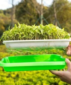 Accessoire de culture Soldes Boutique -Accessoire de culture Soldes Boutique 65824017 2