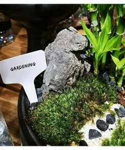 KAEJYIUT 100 Pieces Blanc Marqueurs En Plastique De Plantes Type T, Balises Durables De Marqueurs De Jardin Imperméables étiquettes De Semis 10 KAEJYIUT 100 Pieces Blanc Marqueurs En Plastique De Plantes Type T, Balises Durables De Marqueurs De Jardin Imperméables étiquettes De Semis -Accessoire de culture Soldes Boutique 65852998 4