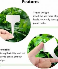 Ensoleillé 100 Mini étiquettes En Plastique Pour Plantes En Forme De T, étiquettes Pour Plantes, 6 X 10 Cm, Pratique Pour Tous Les Jardiniers Blanc -Accessoire de culture Soldes Boutique 65888420 3