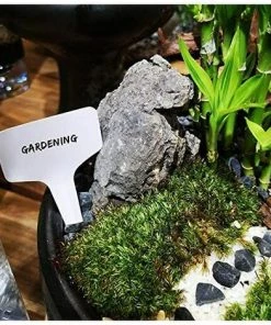 Ensoleillé 100 Mini étiquettes En Plastique Pour Plantes En Forme De T, étiquettes Pour Plantes, 6 X 10 Cm, Pratique Pour Tous Les Jardiniers Blanc -Accessoire de culture Soldes Boutique 65888420 4