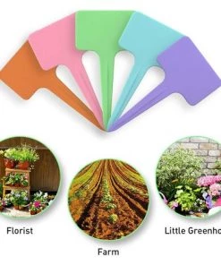 EINEMGELD 100 étiquettes De Plantes En Plastique Réutilisables -Accessoire de culture Soldes Boutique 66076693 3