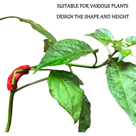 MEZHENG 90 Degrés Clips De Formateur De Plantes Branches D'Entraînement à Faible Stress Clips Plantes Pinces Plantes Pour Contrôler La Hauteur Forme La Plante Pour Le Jardinag 4 MEZHENG 90 Degrés Clips De Formateur De Plantes Branches D'Entraînement à Faible Stress Clips Plantes Pinces Plantes Pour Contrôler La Hauteur Forme La Plante Pour Le Jardinag – Image 2