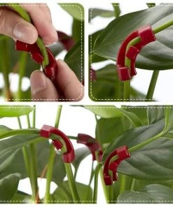 MEZHENG 90 Degrés Clips De Formateur De Plantes Branches D'Entraînement à Faible Stress Clips Plantes Pinces Plantes Pour Contrôler La Hauteur Forme La Plante Pour Le Jardinag 9 MEZHENG 90 Degrés Clips De Formateur De Plantes Branches D'Entraînement à Faible Stress Clips Plantes Pinces Plantes Pour Contrôler La Hauteur Forme La Plante Pour Le Jardinag -Accessoire de culture Soldes Boutique 66092099 3